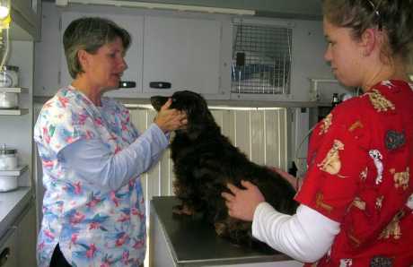 Otvaranje veterinarske ambulante