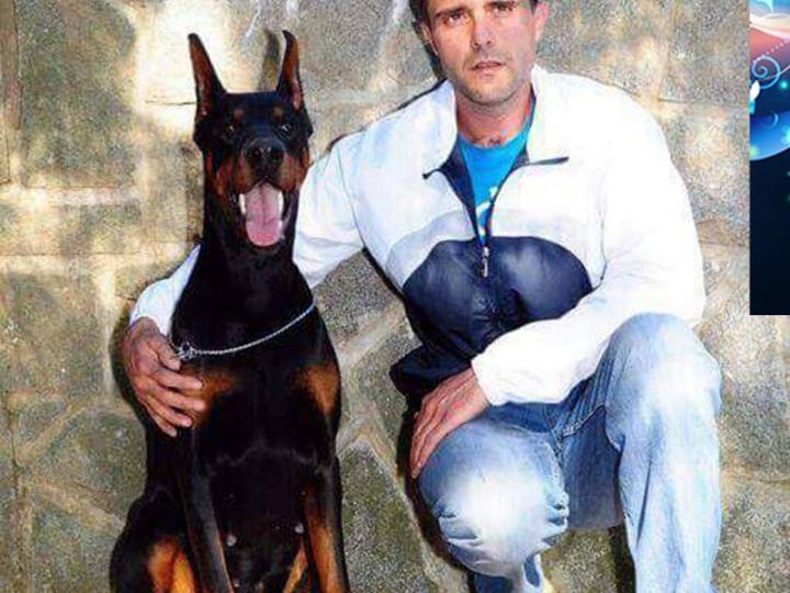 Doberman najava legla od kvalitetnih roditelja
