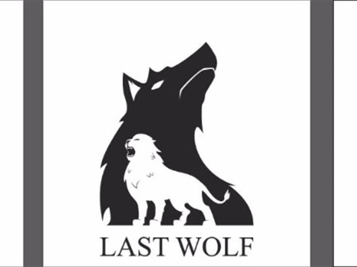 Last Wolf d.o.o traži radnike