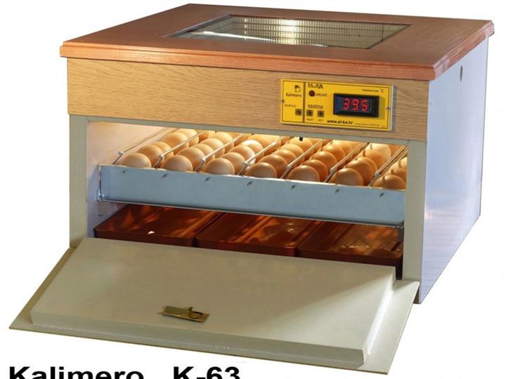 Kalimero inkubator