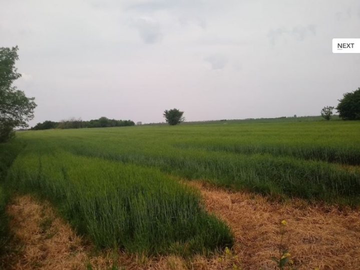 Građ. zemljište 786 m2, Vukovar