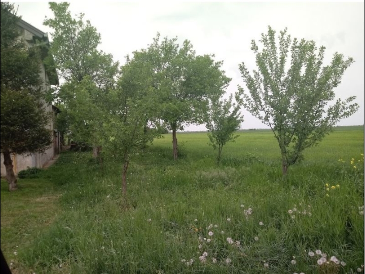 Građ. zemljište 786 m2, Vukovar