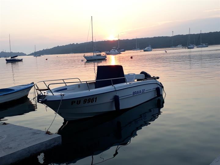 Brava 22