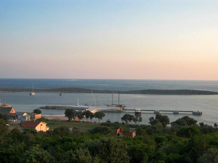 Premuda