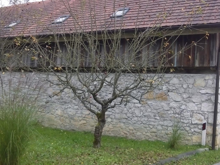 Gorski kotar, kuća s terenom