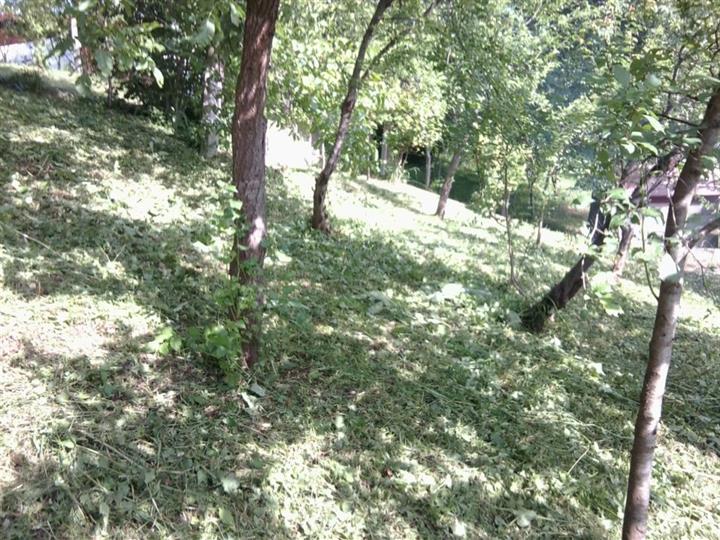 Zagreb (Markovo polje), prizemnica