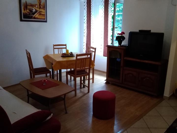 Rijeka, Brajda, dnevni najam