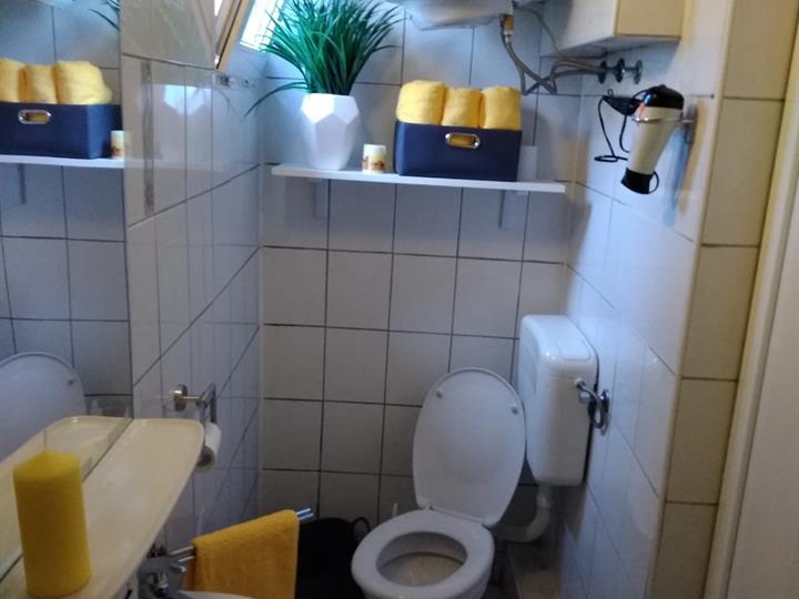 Rijeka, Brajda, dnevni najam