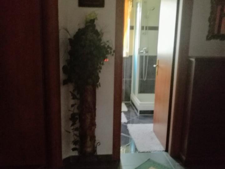 Pula, luksuzan stan Vila Dolinka