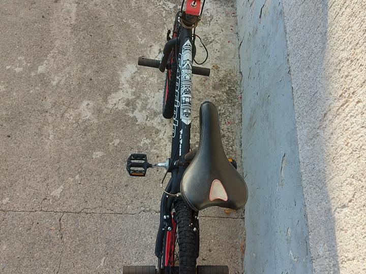 BMX Capriolo totem