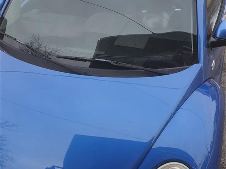 VW Buba