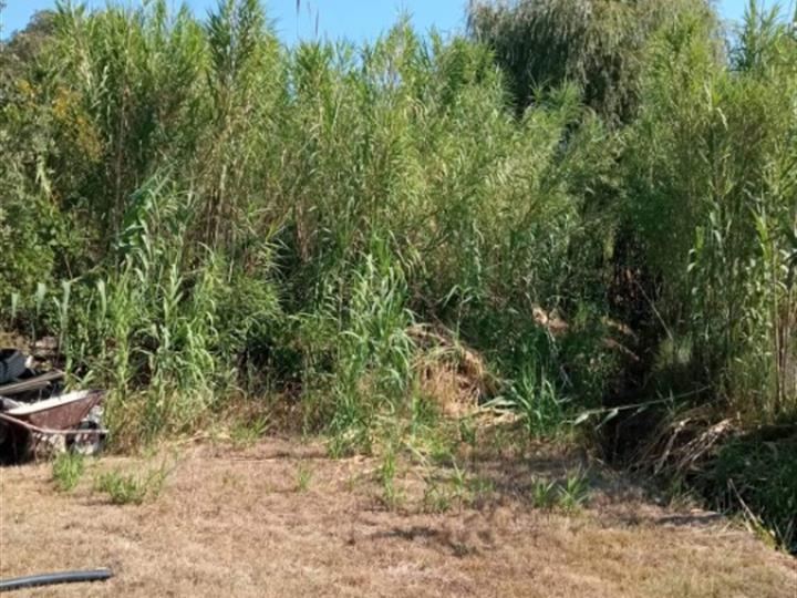 Građevinsko zemljište Rab, Lopar