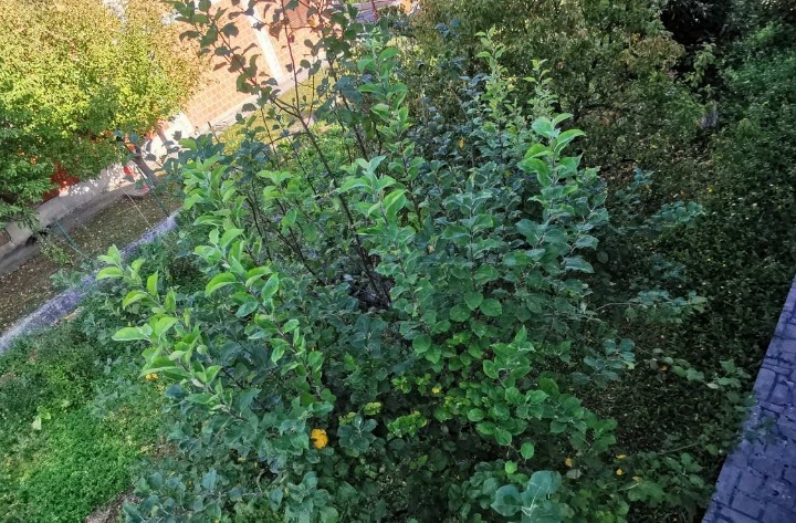 Podhum, samostojeća kuća