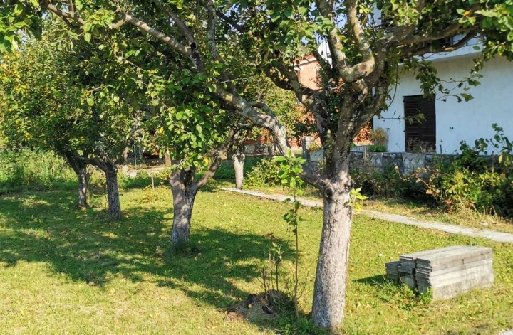 Podhum, samostojeća kuća