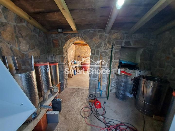 Praputnjak, kuća
