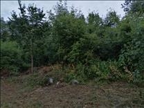 Grobnik - Soboli, starinu prodajem