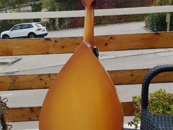 Mandolina