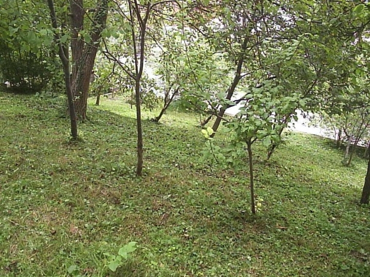 Zagreb-Sesv., 76 m2 mij. za Primorje