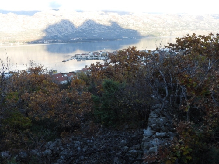 Vinjerac kod Zadra, pašnjak 753/1