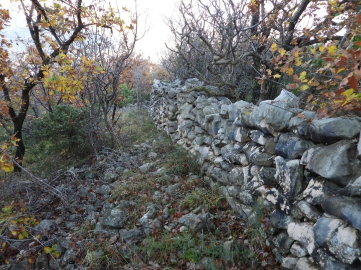 Vinjerac kod Zadra, pašnjak 753/1