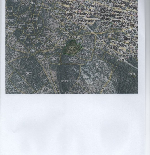 Vinjerac kod Zadra, pašnjak 753/1