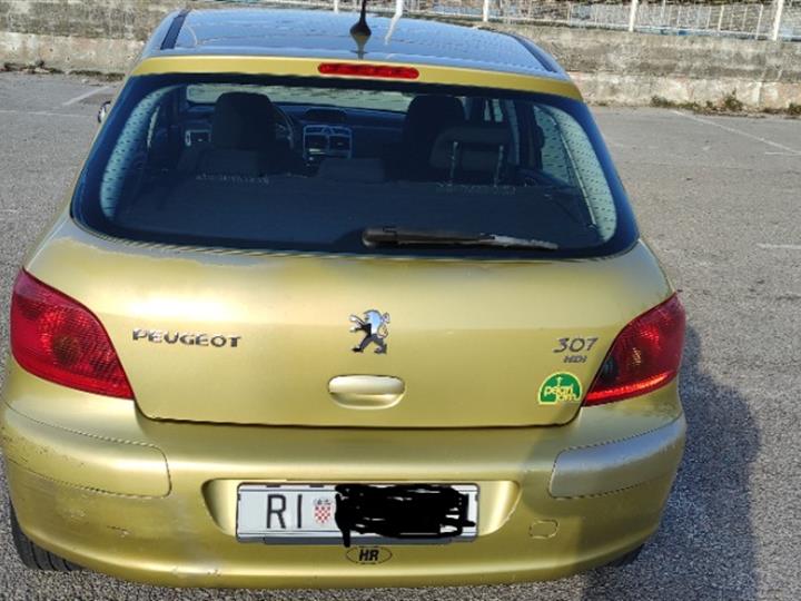 Peugeot 307, 2.0 hdi