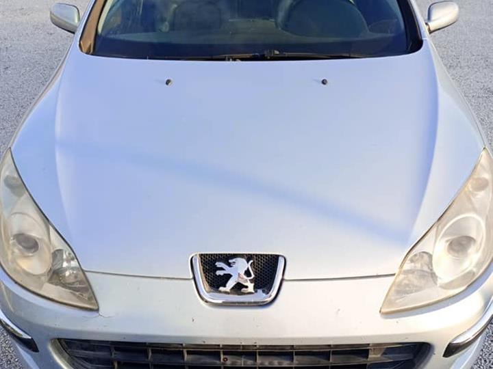 Peugeot 407 SW 2.0 HDI