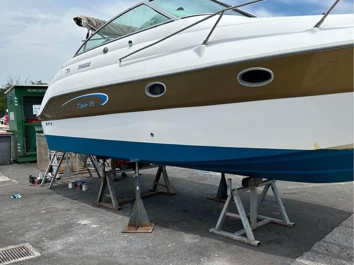 Sessa oyster 25