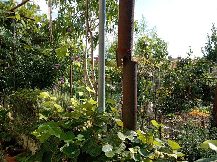 2S kl. stan iznajmljujem studentima