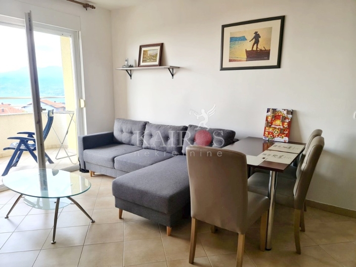 Hosti, 1S+DB, 550 €, male režije