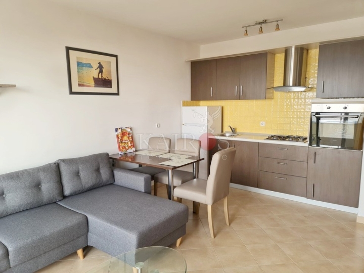 Hosti, 1S+DB, 550 €, male režije