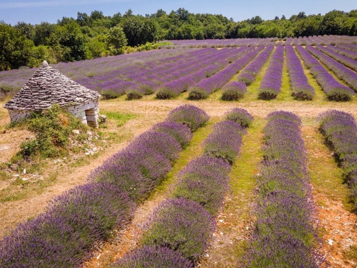 Zemljište 35.000 m2 (4 € m2)