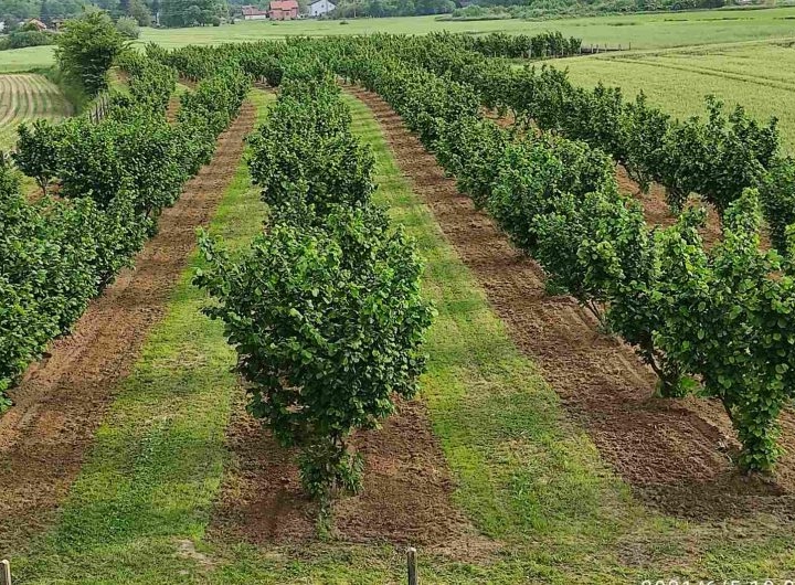 Zemljište 35.000 m2 (4 € m2)