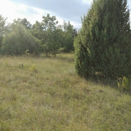 Zemljište 35.000 m2 (4 € m2)