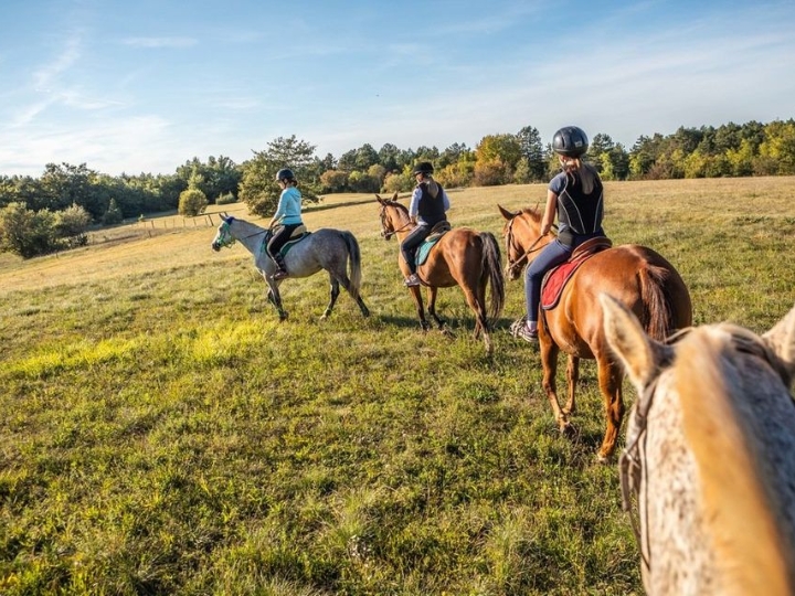 Zemljište 35.000 m2 (4 ,86€ m2)