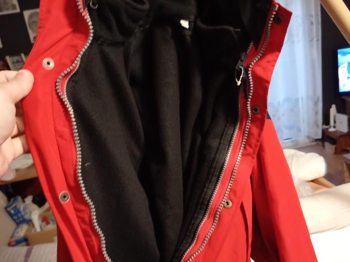 The North Face Goretex