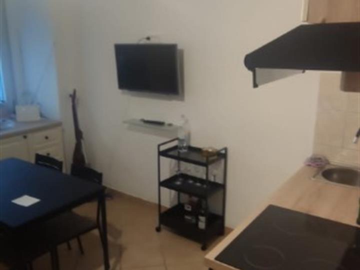 Iznajmljivanje 1S stana