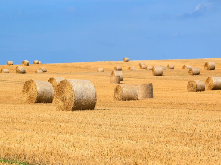 Prelog, Čehovec centar - cca. 75 m2