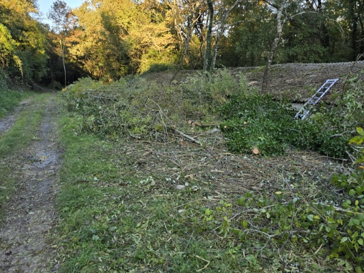 Teren, Grožnjan