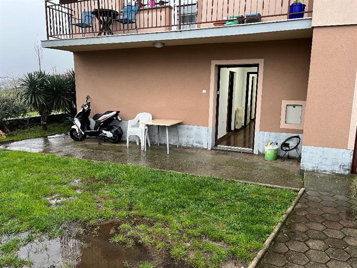 Brnčići