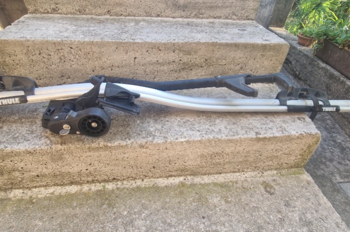 Thule pro ride 591