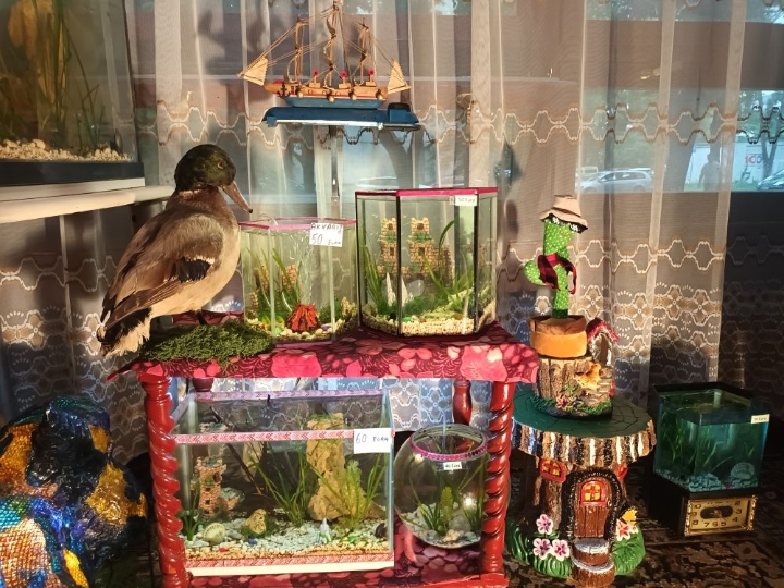 Akvarij ukrasni, šesterokutni