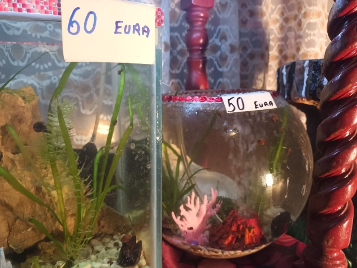 Akvarij ukrasni, šesterokutni