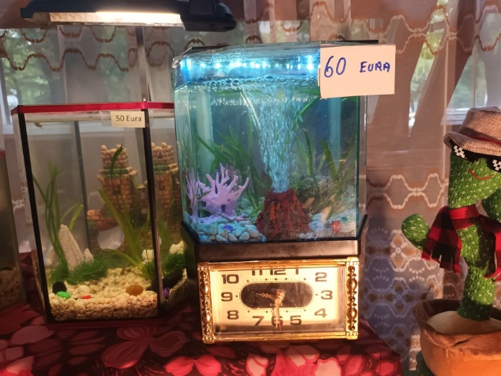 Akvarij ukrasni, šesterokutni