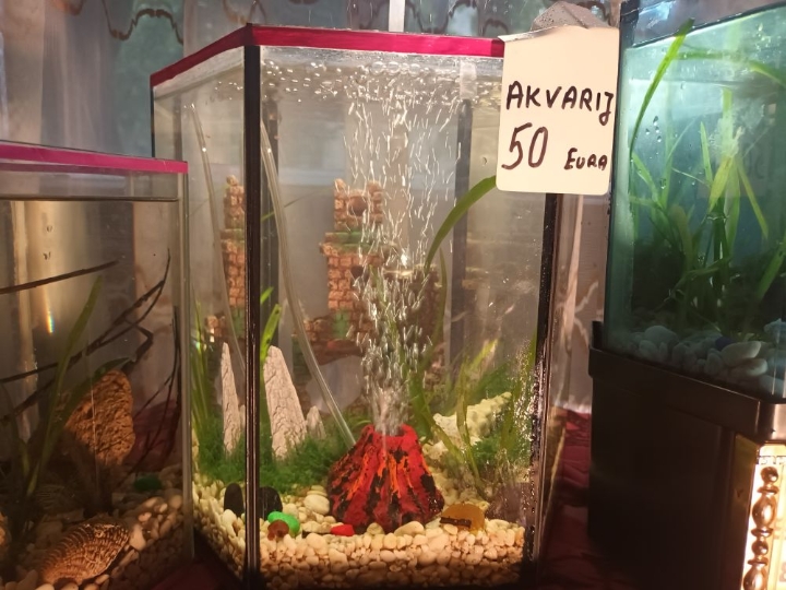 Akvarij ukrasni, šesterokutni