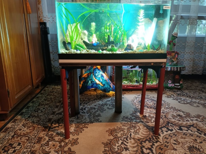 Akvarij ukrasni, šesterokutni