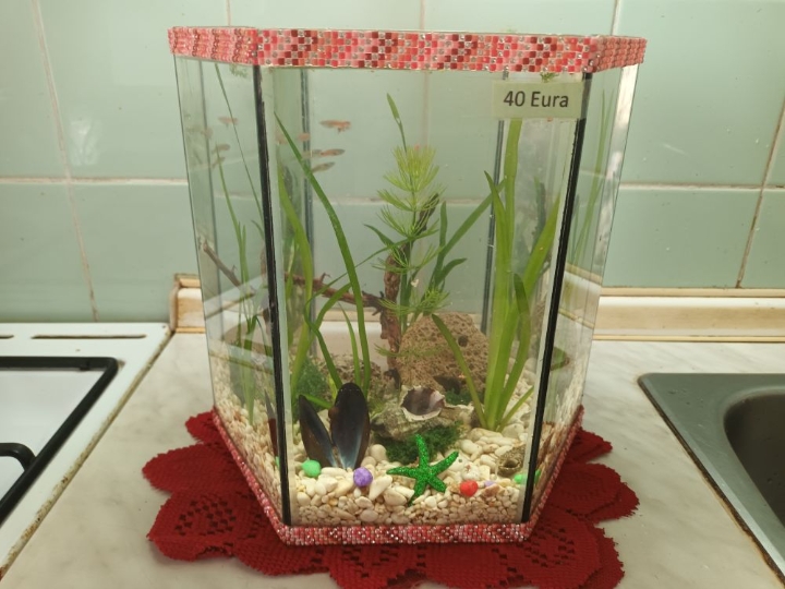 Akvarij ukrasni, šesterokutni