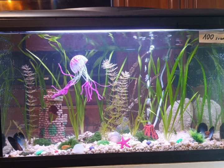 Akvarij ukrasni, šesterokutni