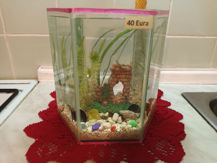 Akvarij ukrasni, šesterokutni