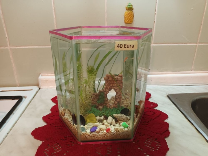 Akvarij ukrasni, šesterokutni